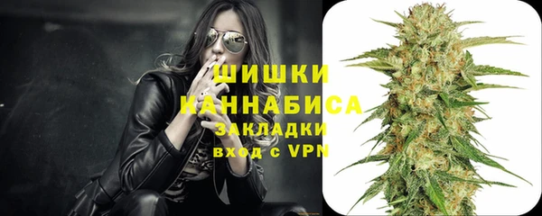 индика Пересвет