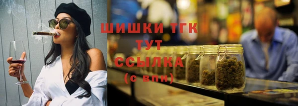 индика Пересвет