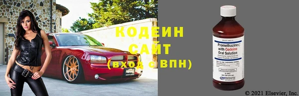 индика Пересвет