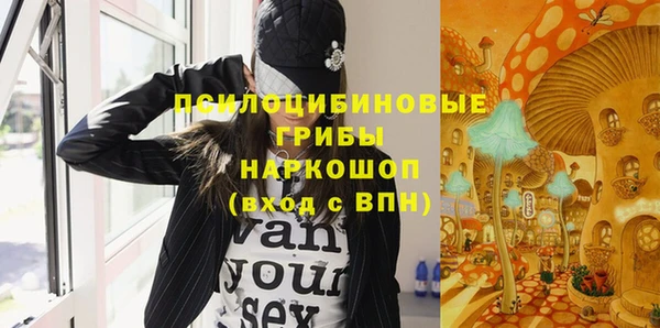 индика Пересвет