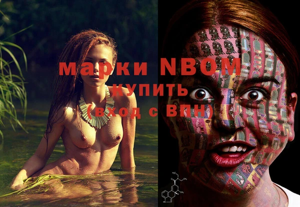 индика Пересвет