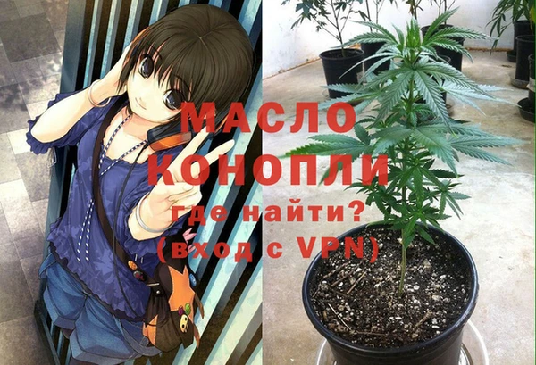 ешки Переславль-Залесский