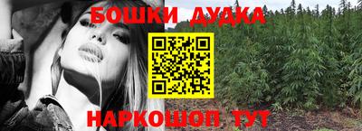 ПСИЛОЦИБИНОВЫЕ ГРИБЫ Новозыбков