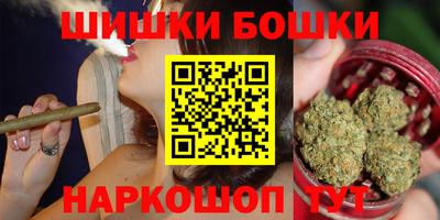 гидра Новодвинск