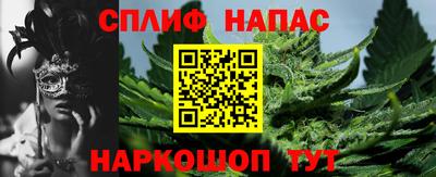 ПСИЛОЦИБИНОВЫЕ ГРИБЫ Новозыбков