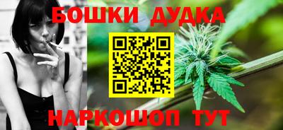 гидра Новодвинск