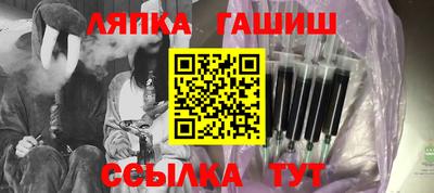 гидра Новодвинск