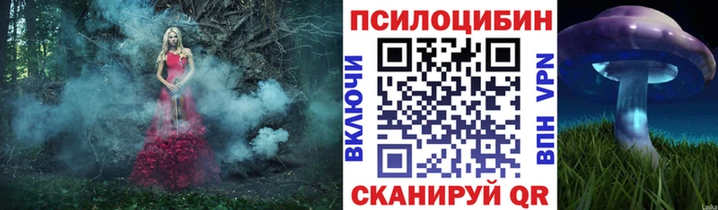 Галлюциногенные грибы MAGIC MUSHROOMS  Сланцы 