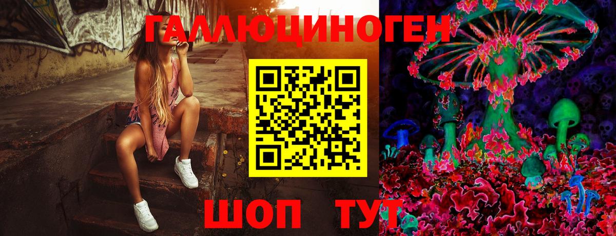 Псилоцибиновые грибы ЛСД  Галлюциногенные грибы Psilocybine cubensis  Сланцы  Вход с VPN 