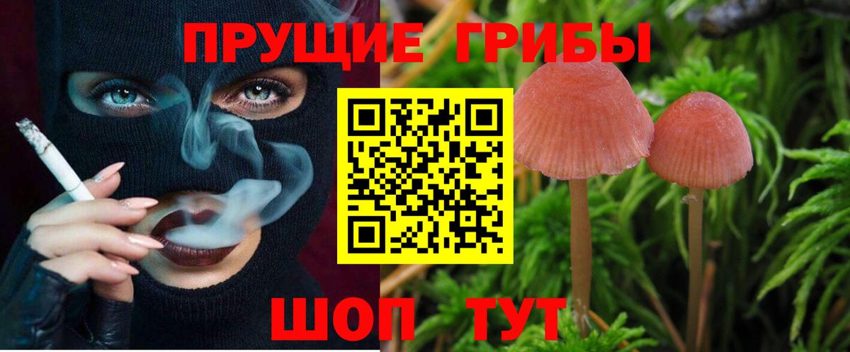 Галлюциногенные грибы GOLDEN TEACHER Сланцы