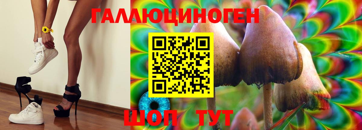 Сланцы  Вход с VPN  Канабис  МЕФ   Кокаин  Гашиш  КОКАИН 